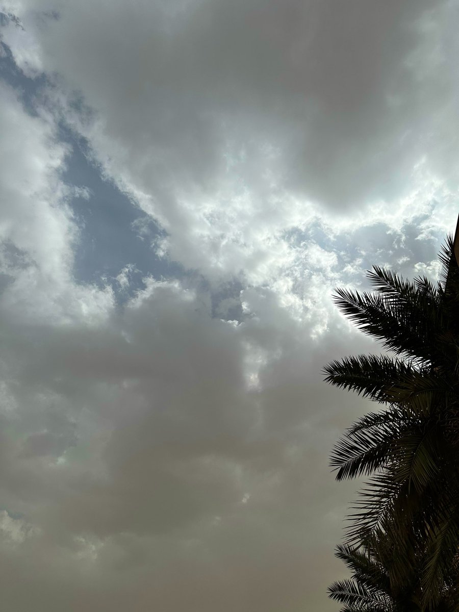 حنان الشهري tweet media