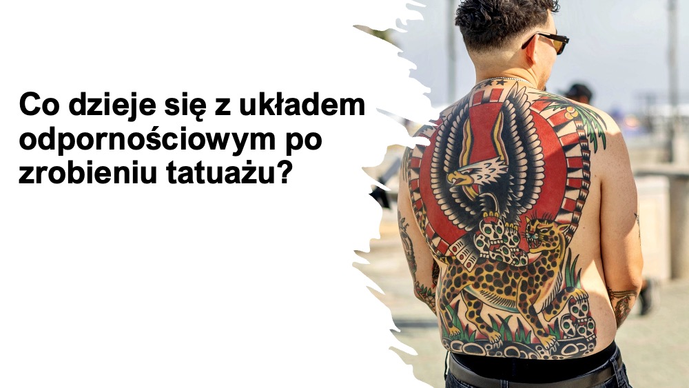 🧶Podczas tatuowania igła wielokrotnie przebija naskórek i wprowadza tusz do skóry właściwej – organizm traktuje to jak uraz i obecność obcego materiału. Na miejsce od razu ściągają komórki odpornościowe (makrofagi, neutrofile), które próbują „posprzątać” pigment. Część tuszu