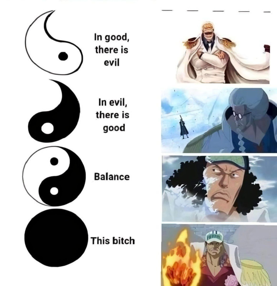 One Piece Daily tweet media
