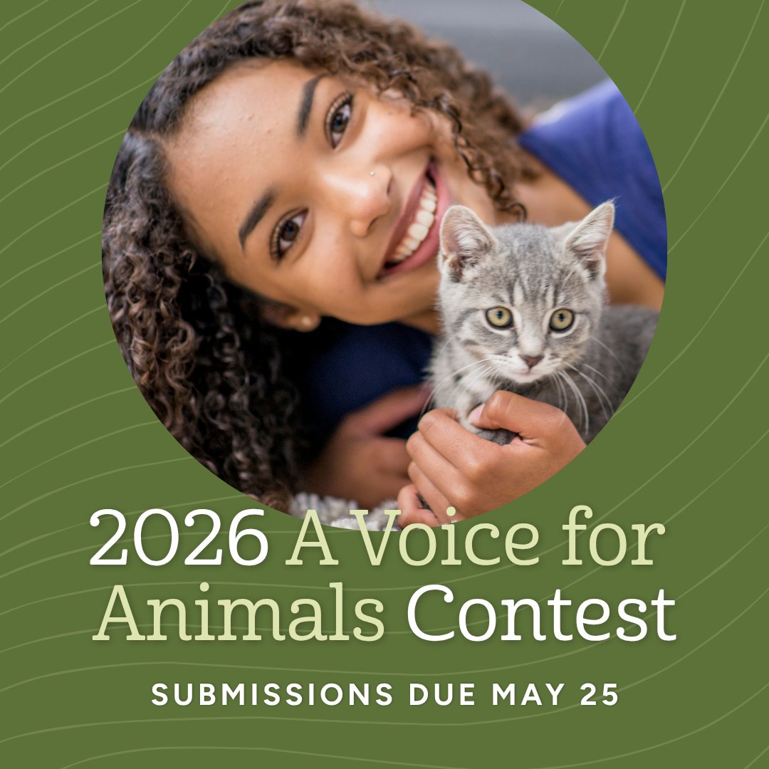 Only a few more weeks for students ages 14–18 to enter the 36th annual “A Voice for Animals” contest! Essays and videos that explore ways to prevent animal suffering and protect vulnerable species are eligible for cash prizes.

Learn more: apply.mykaleidoscope.com/program/awihen…