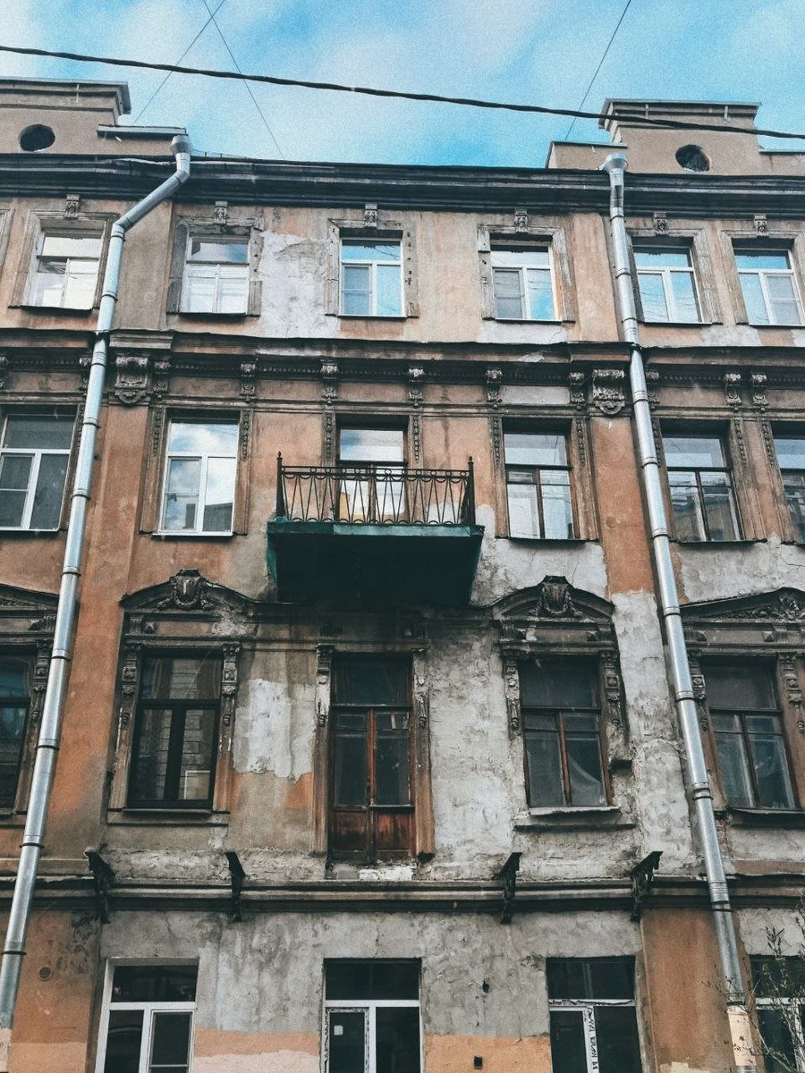 Дикий Петербург tweet media