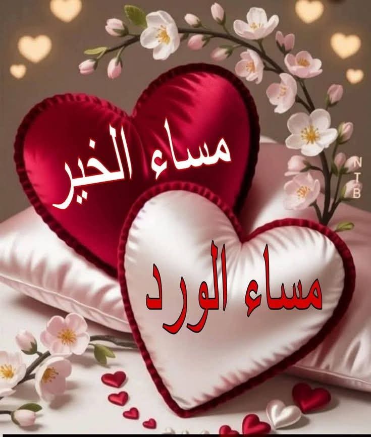 🌷محمد حسين 🌷 tweet media