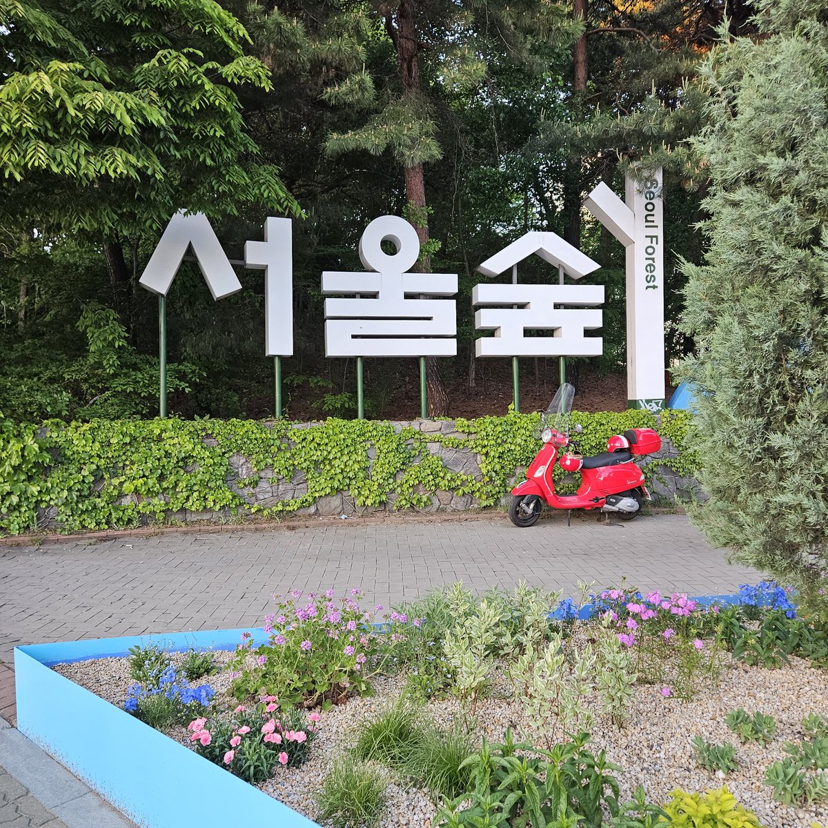 risuminchangmin's tweet photo. 久しぶりにソウルの森へ🌳

KWANGYA FORESTの
ユノとチャンミンの声
聞いてきた❤️

癒されたー https://t.co/iWyR6ce8vx