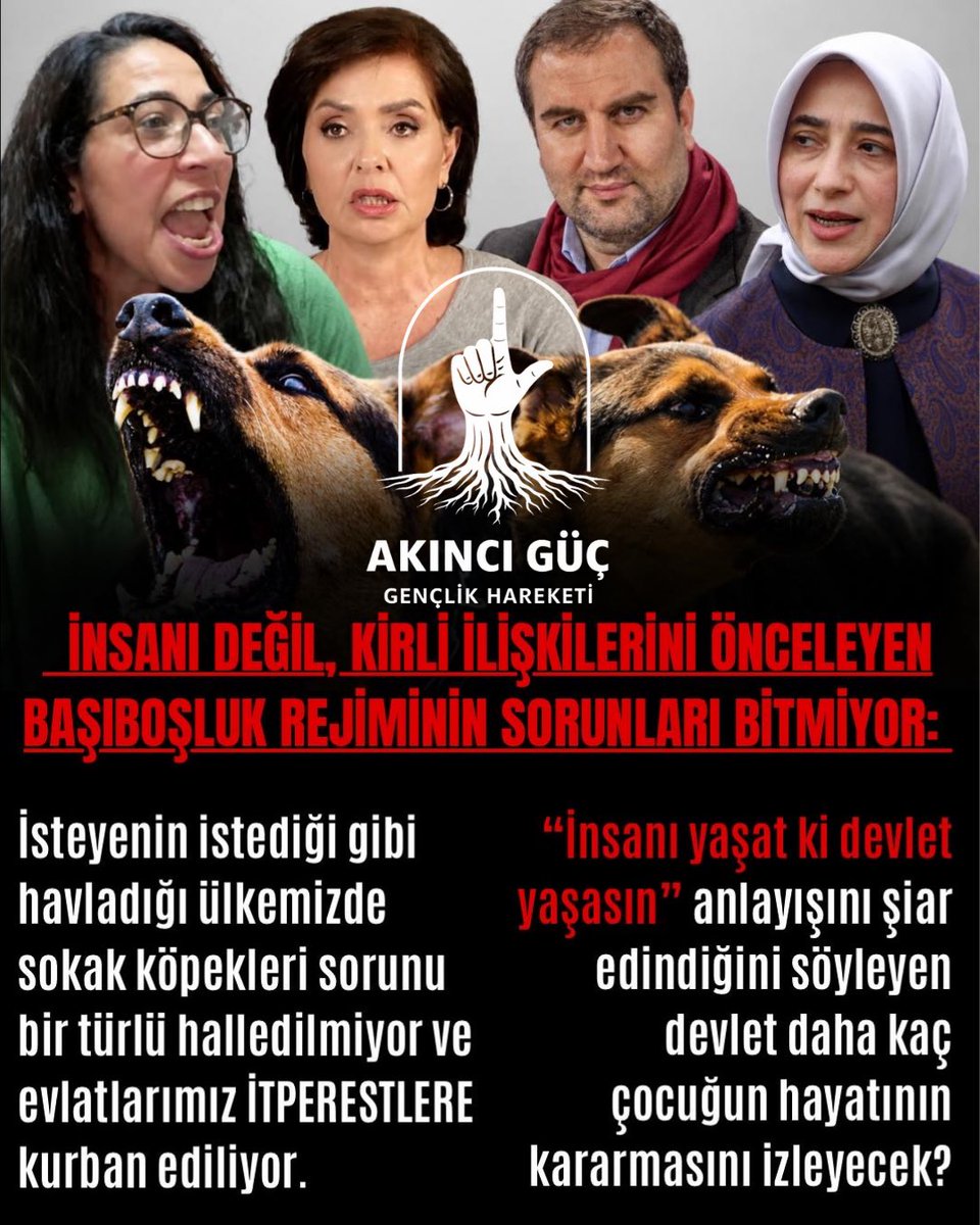 Akıncı-Güç Gençlik Hareketi tweet media