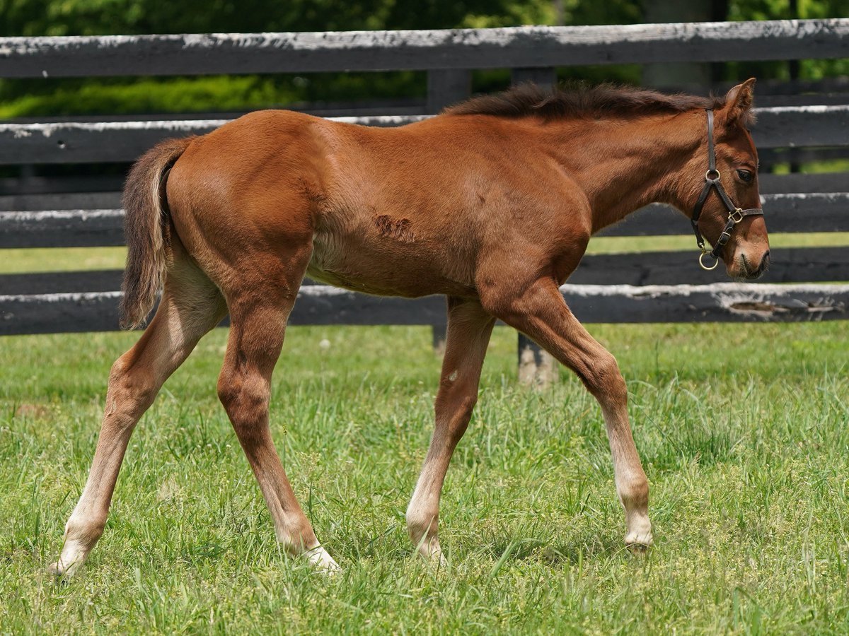 Stonestreet tweet media