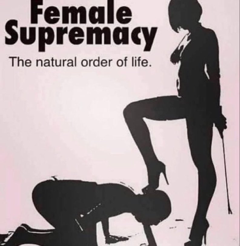 PRETTY SiSSY ACADEMY tweet media