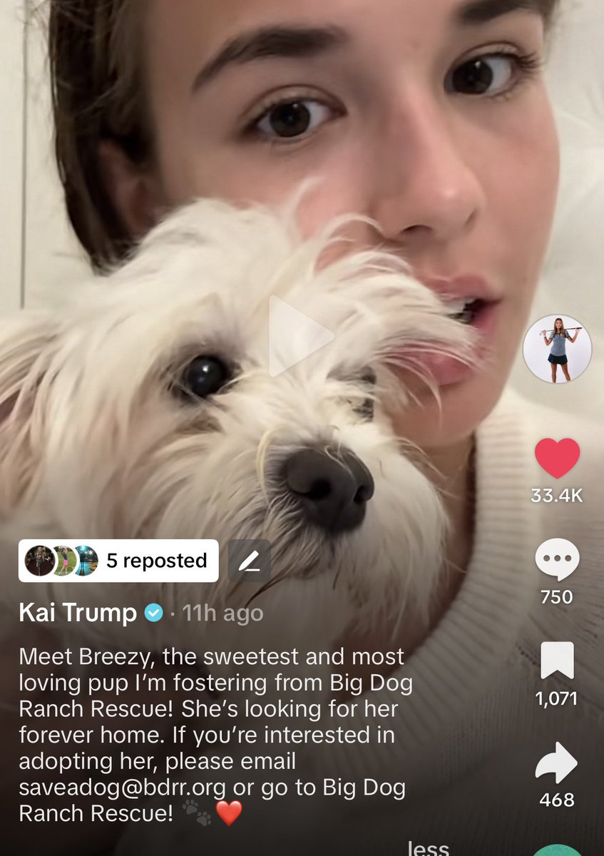 Winner in having more 🪳shits on her face 

Even perfect make up cannot cover that 

With all make up VS Kai Trump  with no make up