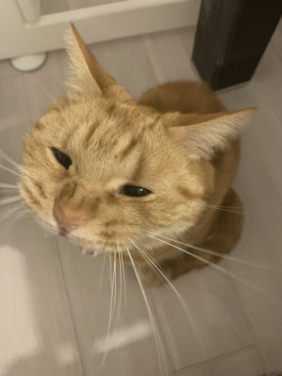 田中健一／田中先生 tweet media