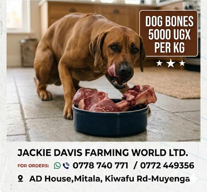 JDfarmingworld's tweet photo. We have you covered. Make your orders and we shall deliver https://t.co/9AcywP8fz4