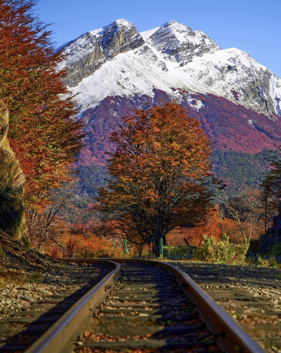 geoelustondo's tweet photo. Qué hermosa la Patagonia argentina...
https://t.co/NWjItpuWHE
#wanderlust #blogdeviajes #travelblogger @vitosavoia12 #porelmundo https://t.co/tLMzcEfd0p