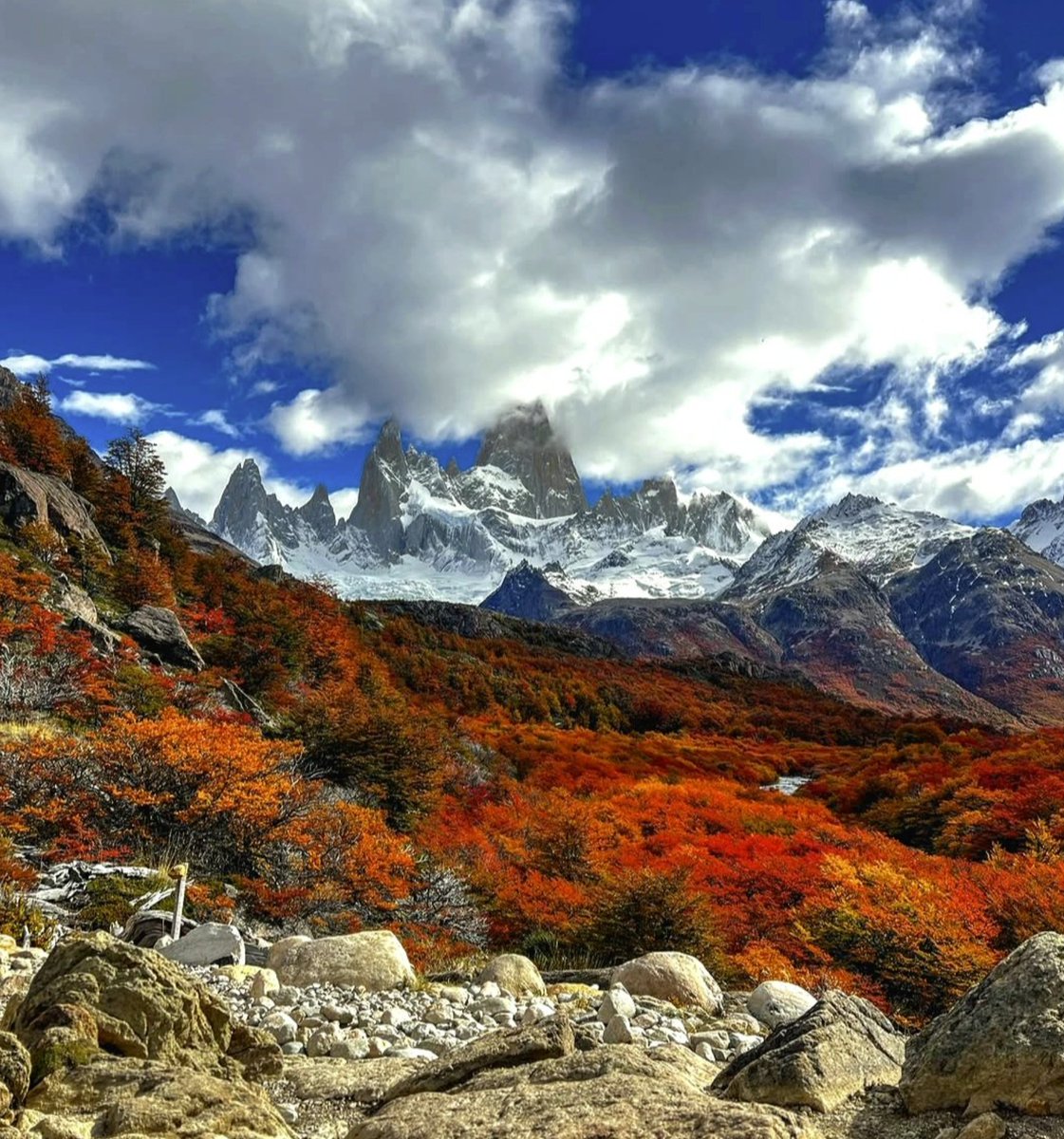 geoelustondo's tweet photo. Qué hermosa la Patagonia argentina...
https://t.co/NWjItpuWHE
#wanderlust #blogdeviajes #travelblogger @vitosavoia12 #porelmundo https://t.co/tLMzcEfd0p