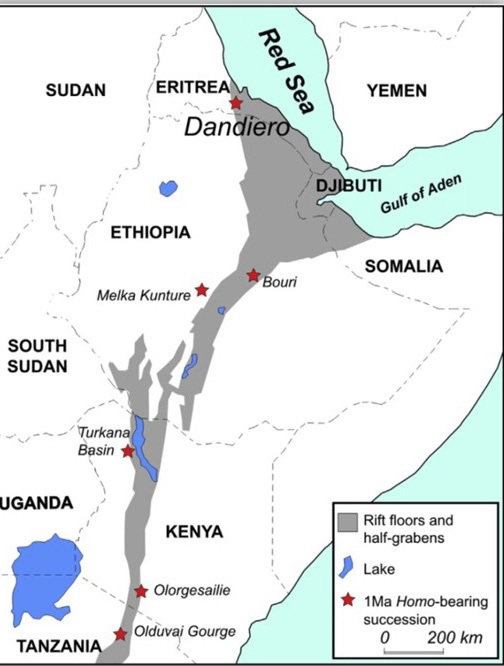 Yemane G. Meskel 🇪🇷 tweet media