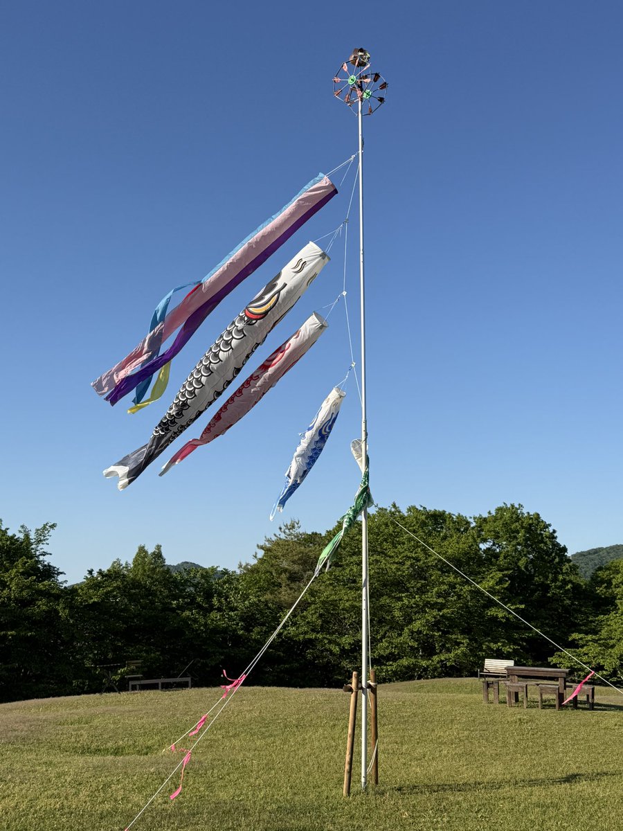 shukka01's tweet photo. 今日は、5月5日。
こどもの日でしたね。
天気がいいので、上野森林公園に行ったら、晴天の空をバックに、こいのぼりが気持ちよさそうに泳いでました。
#こいのぼり  #こどもの日🎏  #carpstreamer  #森林公園  #休日ラン https://t.co/RHlfaJvQkM