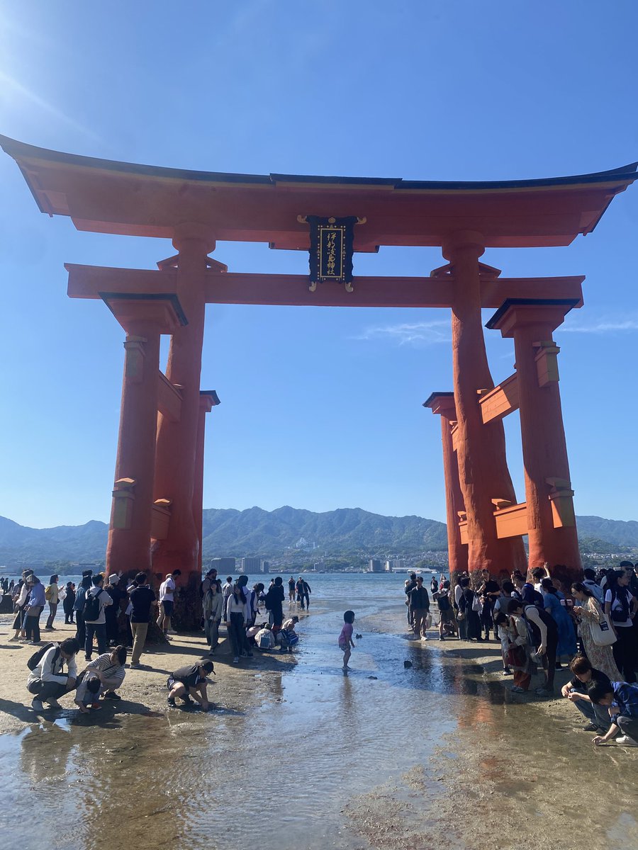 仮想空間ツクヨミの入口来た‼️‼️‼️