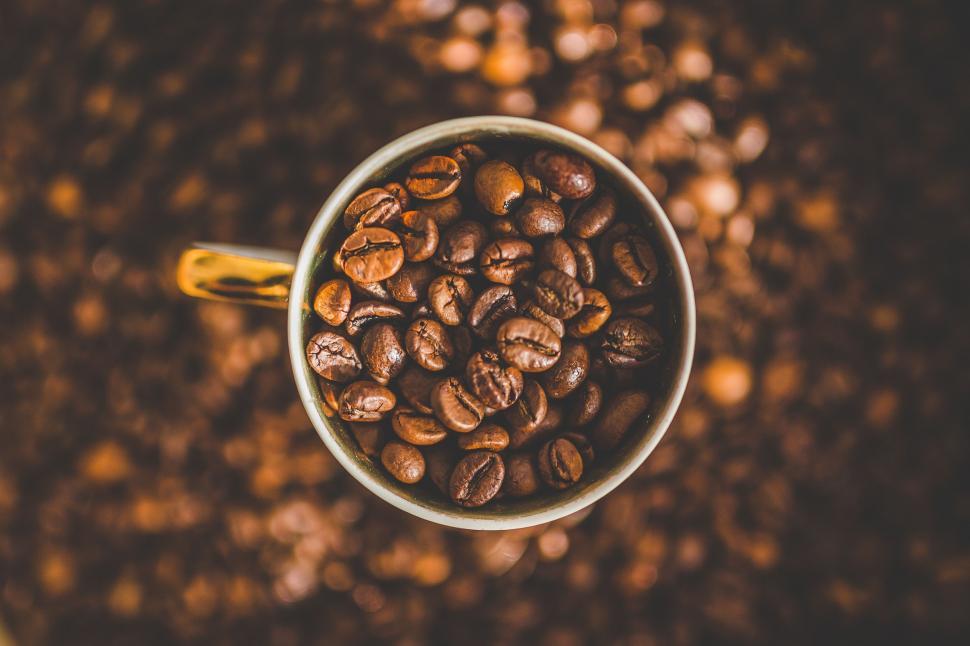Sprout Coffee Co Chi tweet media