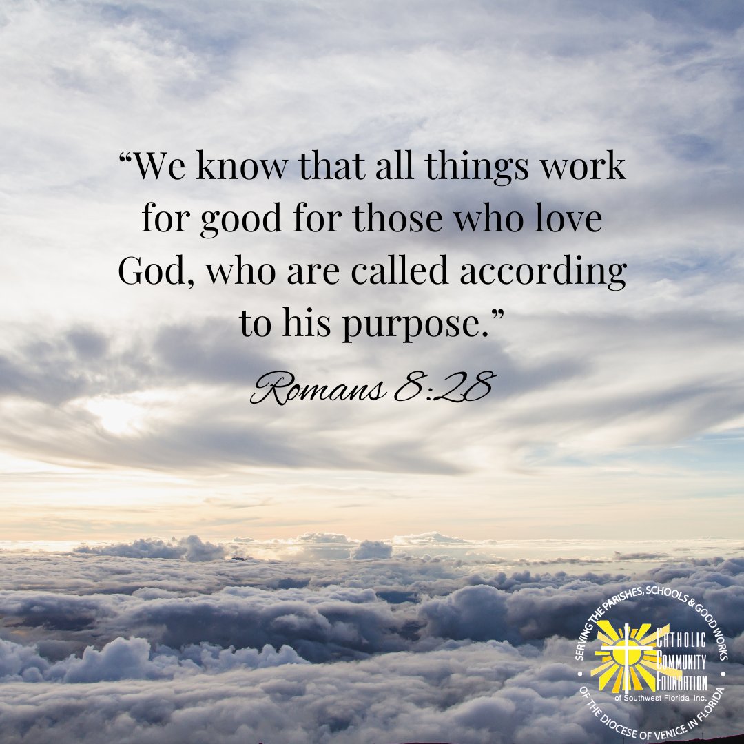 CatholicSwfl's tweet photo. https://t.co/ECsW21xtKx