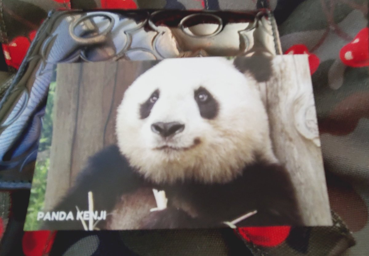 akemln's tweet photo. 元町のエストローヤルさんに行きました
タンタンちゃんのカードも
頂きました🐼嬉しい💞
明日は広島へ行きます🐰 https://t.co/3f2Hu8XArl