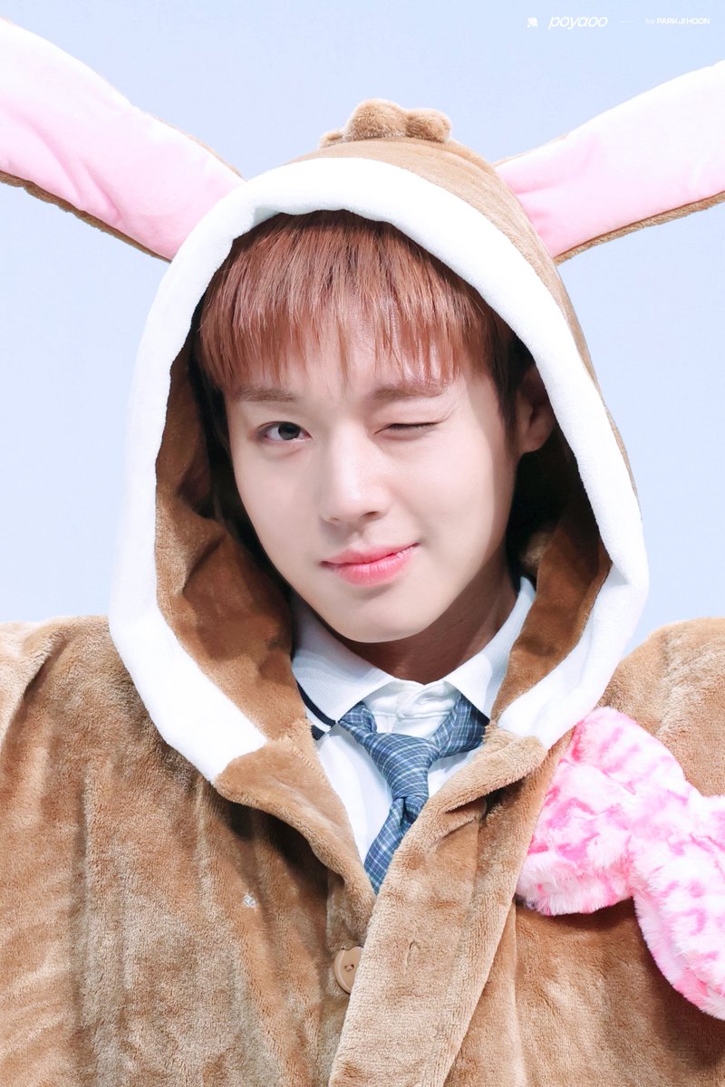뽀.. tweet media