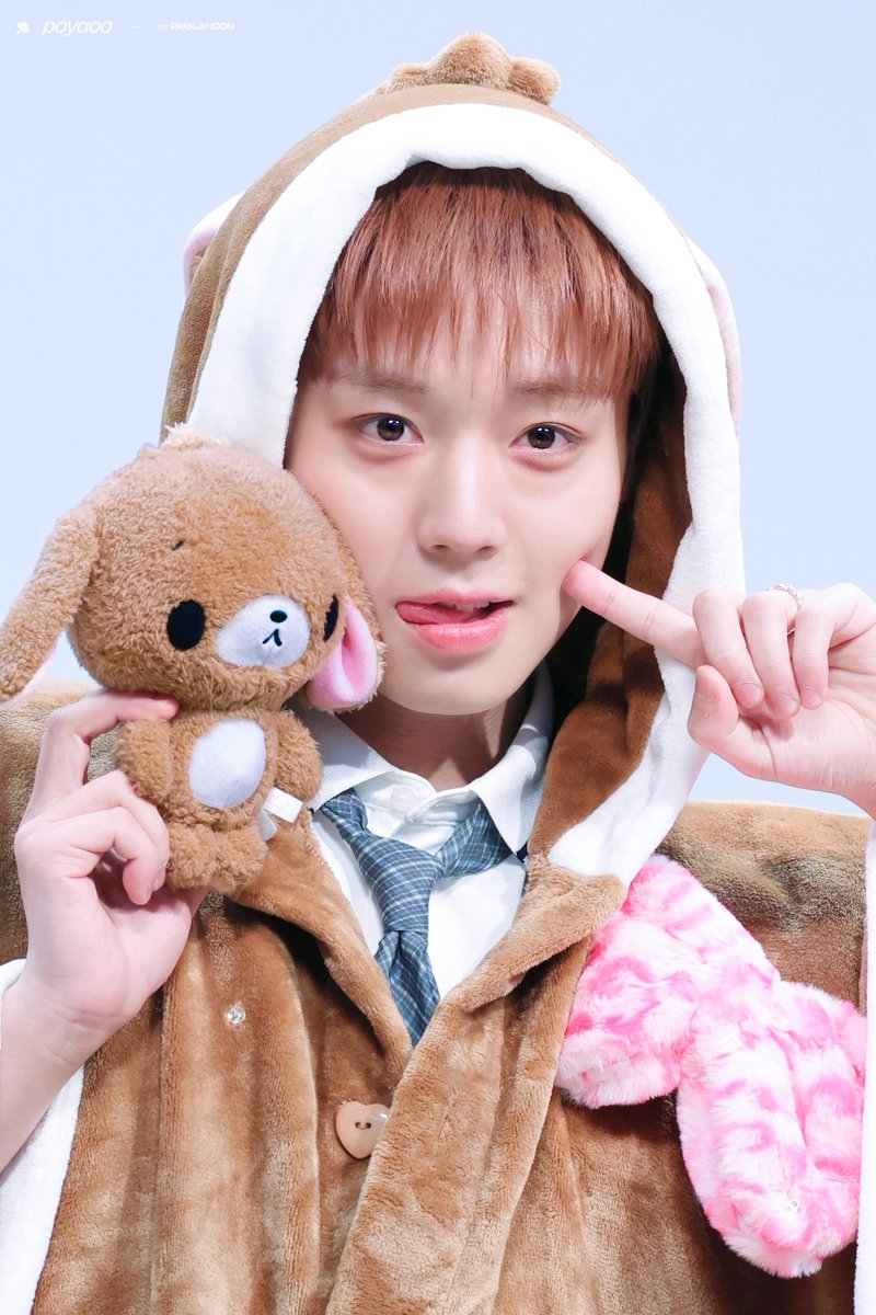 뽀.. tweet media