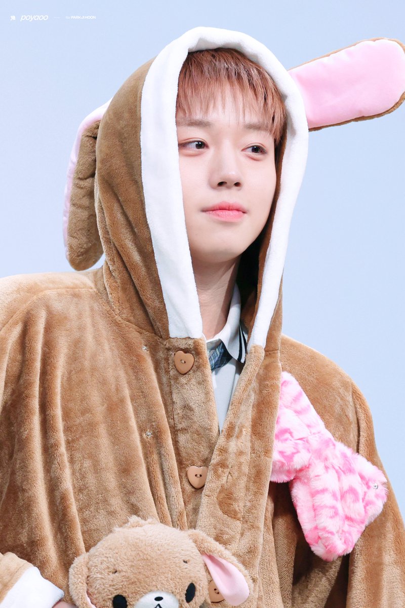 뽀.. tweet media