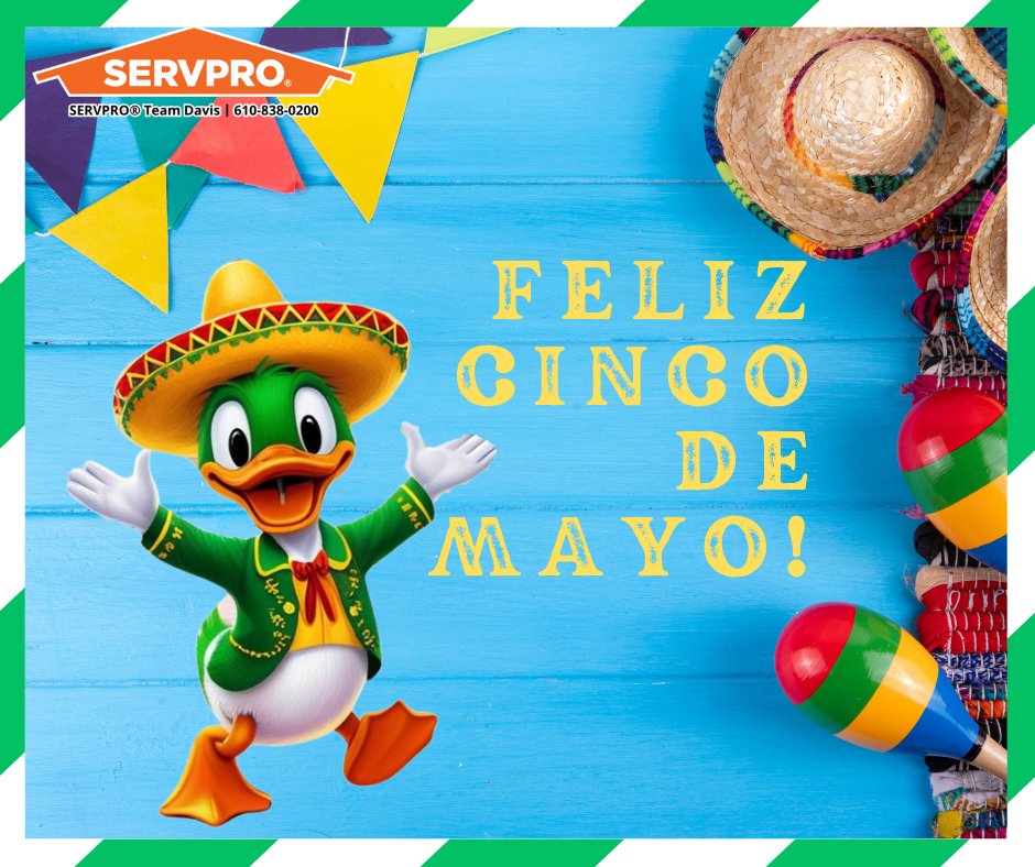 🎉 Happy Cinco de Mayo from SERVPRO Team Davis and Muck the Duck! Wishing everyone a safe, festive day filled with good food and great company. If disaster ever crashes the party, you know who to call—we’re here to help make it #LikeItNeverEvenHappened!💚