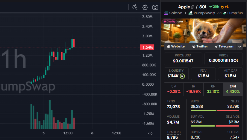David Crypto Scam Hunter tweet media
