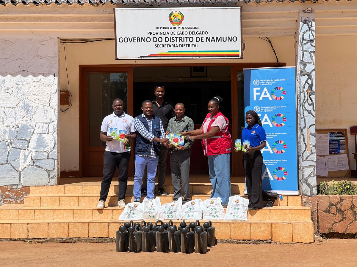 FAOMozambique's tweet image. 🌱@FAO in Cabo Delgado delivered fresh-season agricultural inputs to schools in Montepuez and Namuno districts.

🥬 Seeds &amp;amp; tools to support school gardens as learning spaces
🤝 Promoting food security &amp;amp; improved student nutrition 💚

#EmergencyResponse #FreshSeason