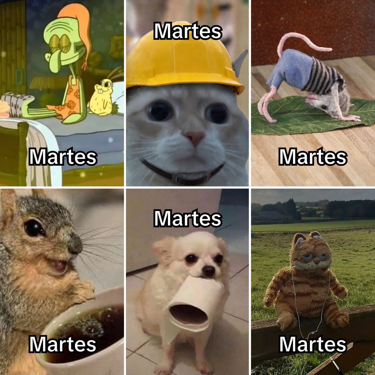 Martes.