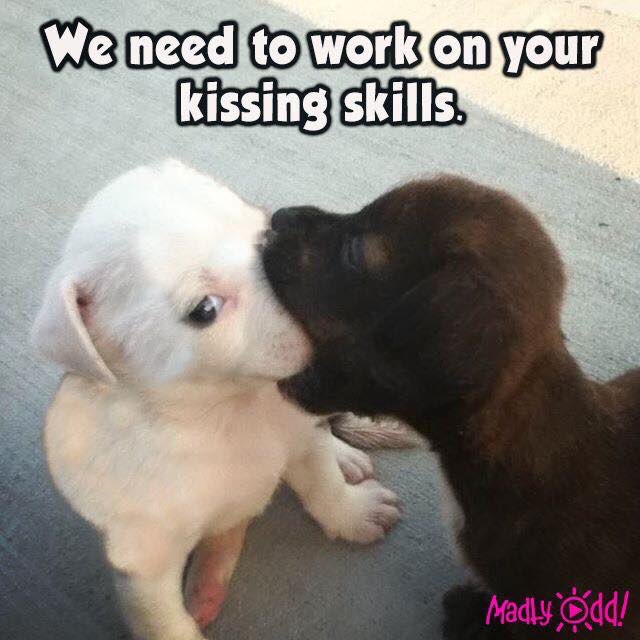 TheJillMorgan's tweet photo. Happy Tuesday! https://t.co/P9f2P4VK3b
