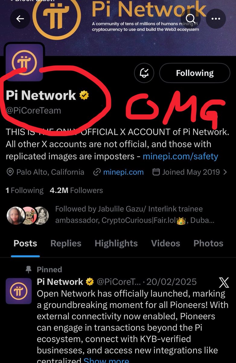 Pi OpenMainnet 2025 tweet media