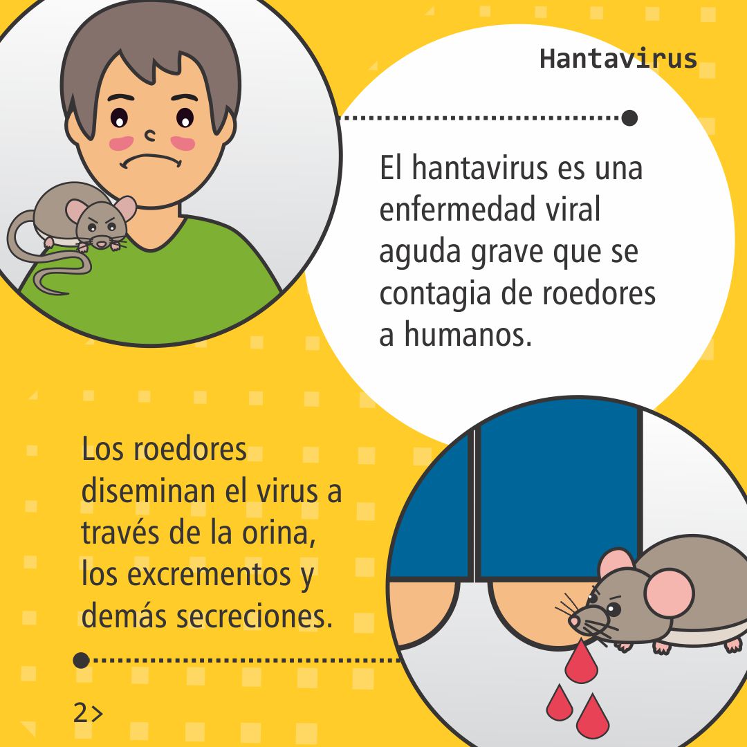 ospreraoficial's tweet photo. En los últimos días fuimos testigos sobre la noticia de casos mortales de hantavirus a bordo de un crucero.

Se trata del MV Hondius que había zarpado de Ushuaia hacia Cabo Verde con 147 pasajeros y tripulantes, según el boletín informativo de la OMS. https://t.co/bB5oA557sS