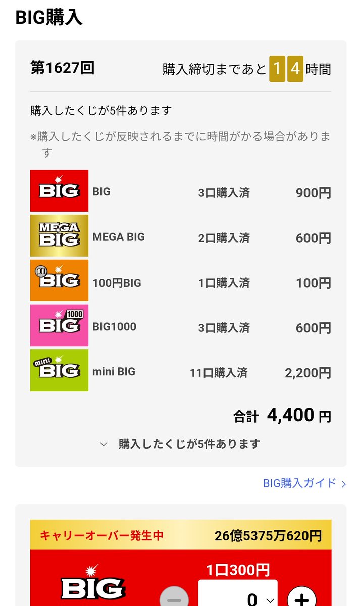 約24万円分、まとめ売り大幅値下！！！ 今は運が良いということで自分で選べず運任せのBIGを買いました