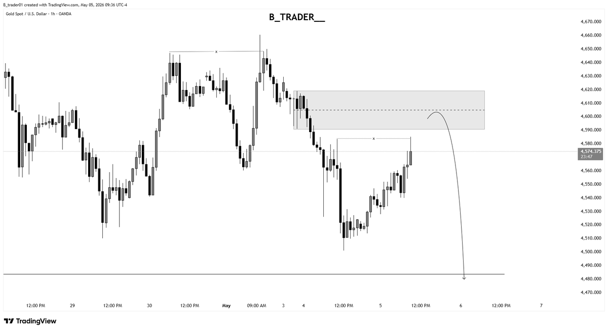 B Trader tweet media