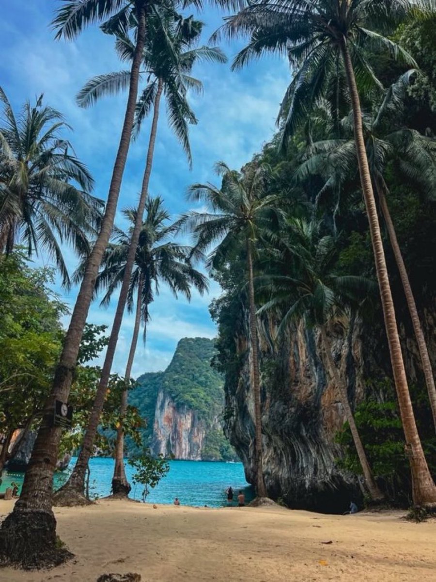 Paisajes Naturales tweet media