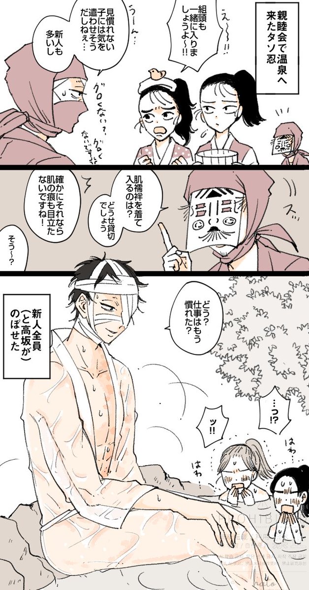 鳩 tweet media