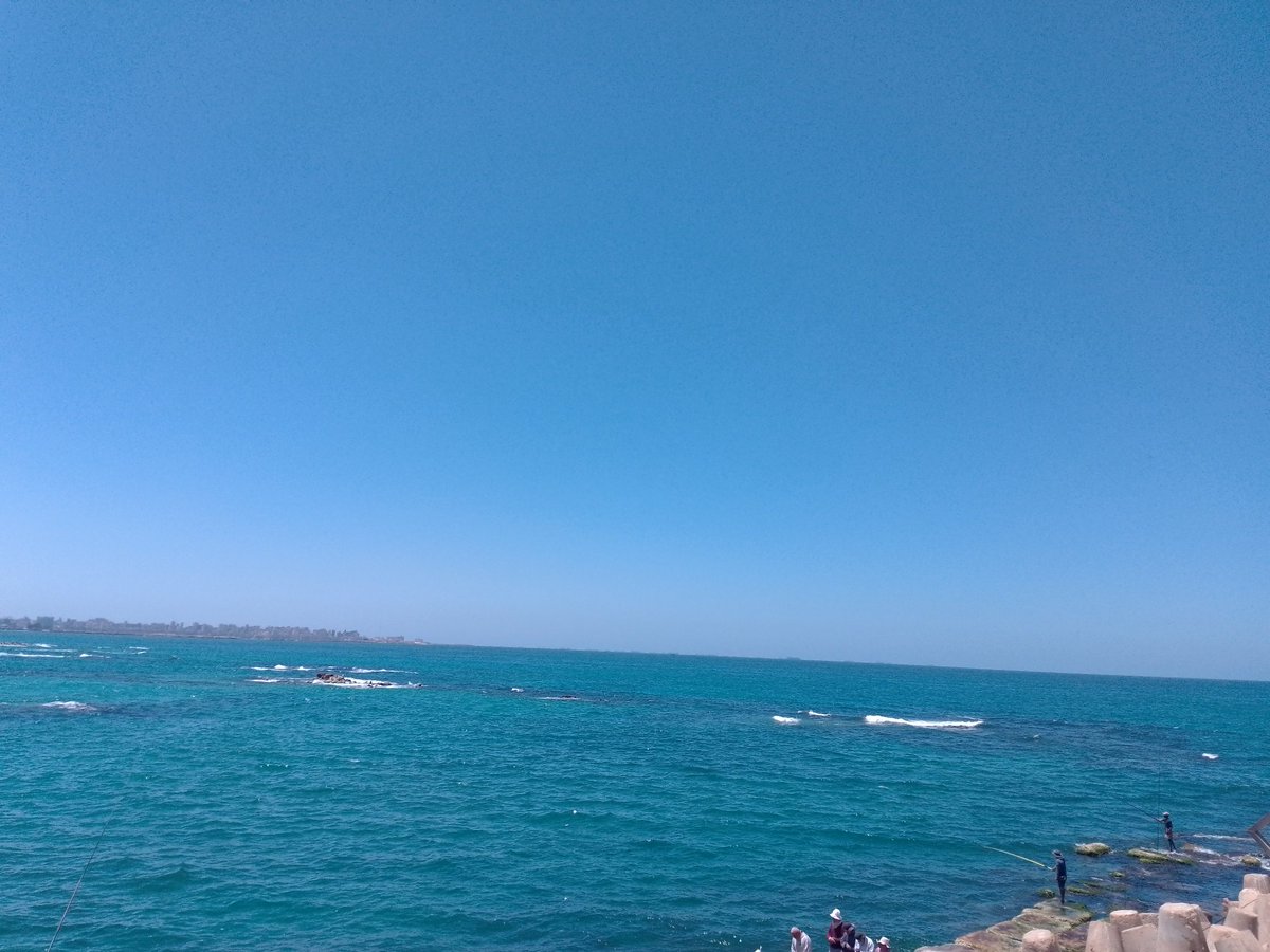 ♫ ♫ شهد عصام 🇪🇬 tweet media