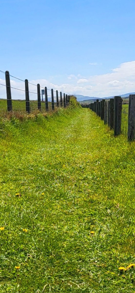 overtherainb0's tweet image. Some days, a quiet stroll is all you need.
#Ireland