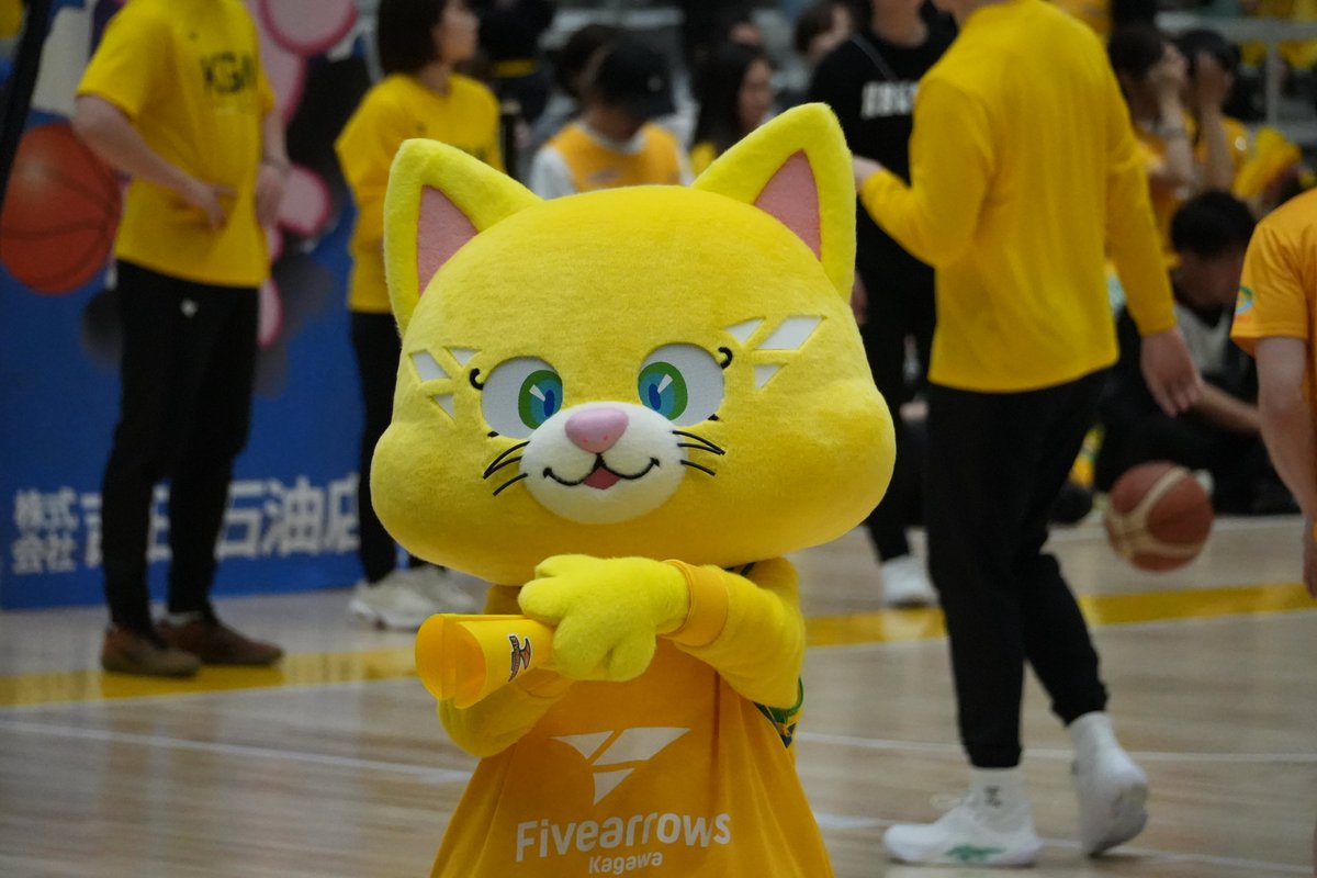 kazookazoo1's tweet photo. PO第一試合。応援練習。 #香川ファイブアローズ #UnitedArchers #まりか #YUZU #アロニャー #ANIMC https://t.co/xz5xvQRupc