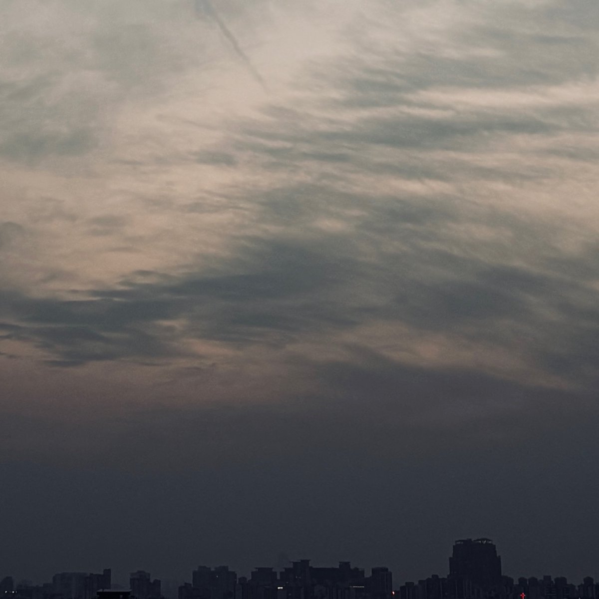 Asa。 tweet media