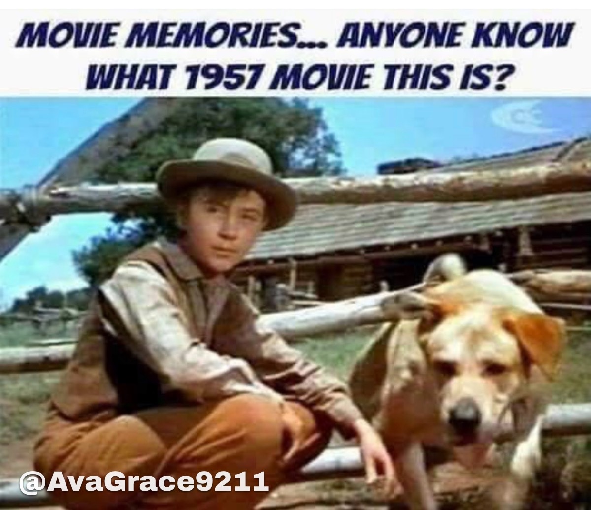 Ava Grace tweet media