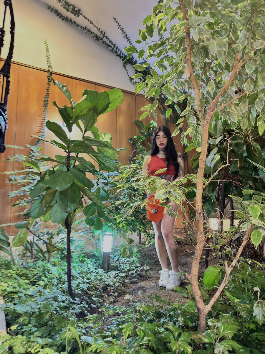 hide_blunt1's tweet photo. Ig: hide.blunt https://t.co/hqQDN6Mo2U