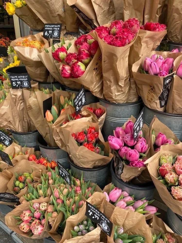 AngelsChlo25139's tweet image. Just wanted to share some bright blooms with you 🌼#flowers 🌸🌺🌻🌹🌷🌼💐