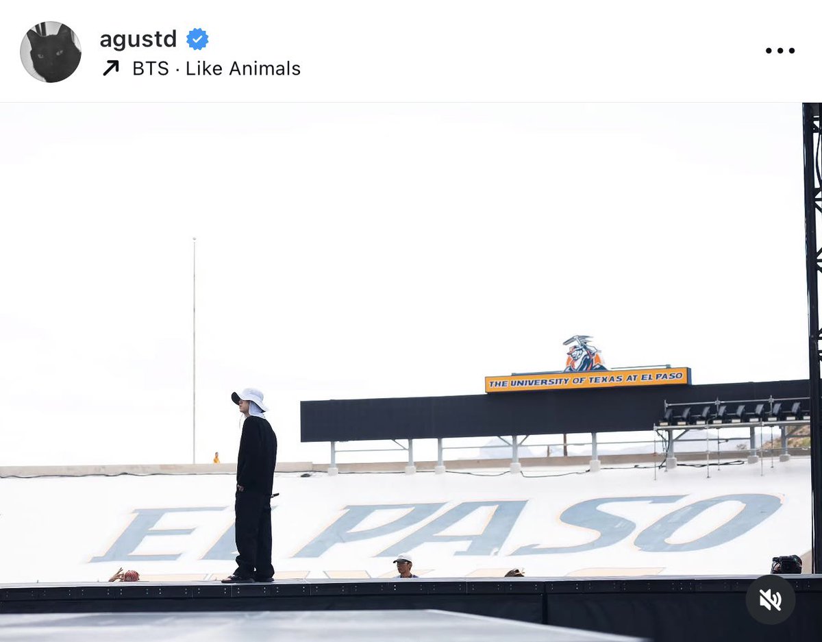 Winter🐻 ⊙⊝⊜🚢Ⓥ tweet media