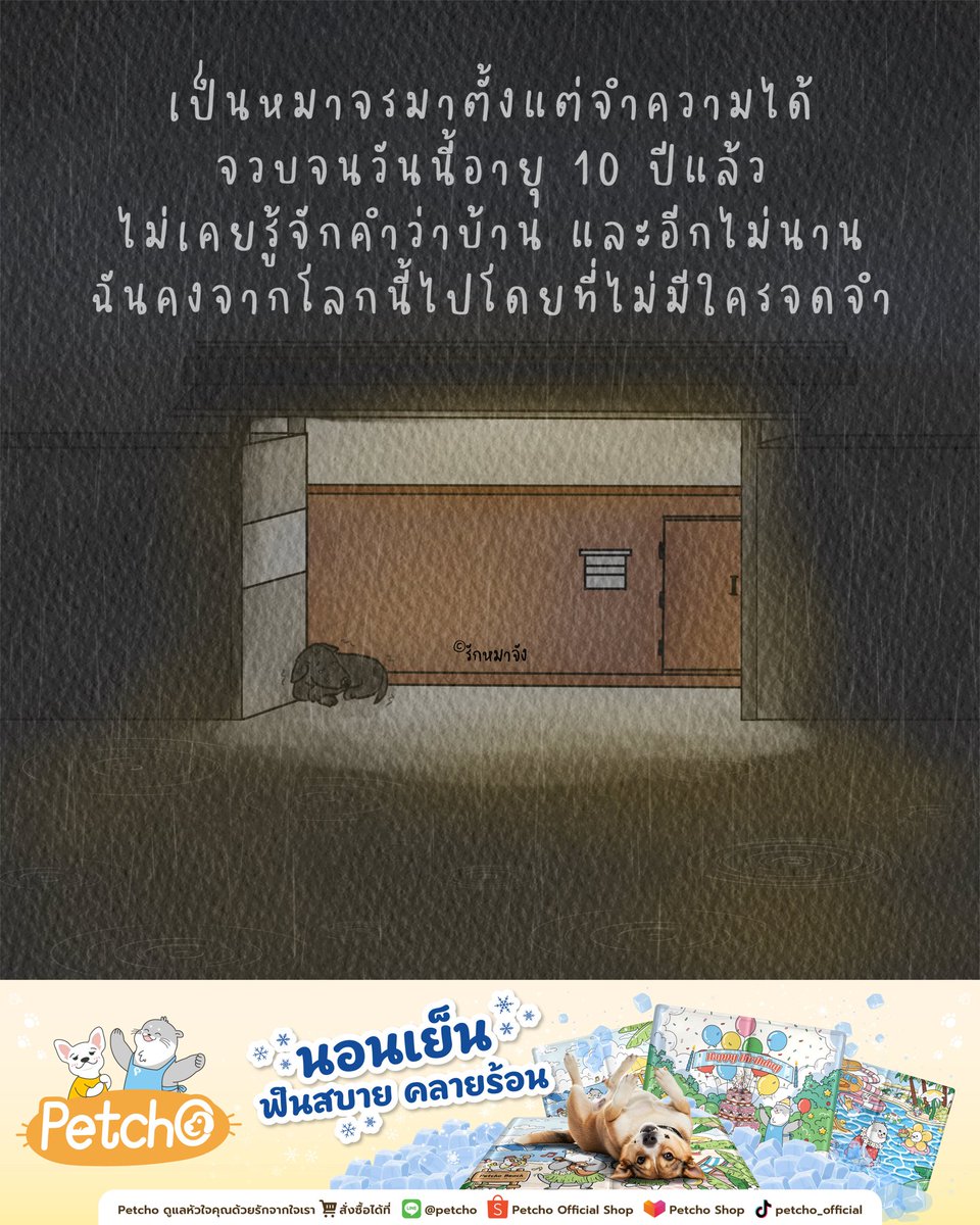 รักหมาจัง🐾 tweet media