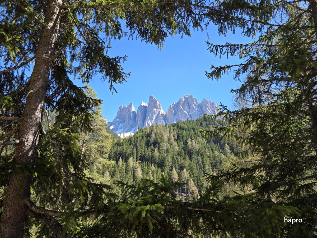 prothmann's tweet photo. Vor Ort vs. Erzählung: St. #Magdalena (Dolomiten)

Medien: „überrannt, Chaos“
Realität (mein Eindruck): ruhig, entspannt
Bürgermeister bestätigt: so pauschal stimmt das nicht.

Wie werden aus Einzelfällen Narrative?

#Journalismus #Medienkritik #Overtourism #südtirol https://t.co/gVFmh7JgmO