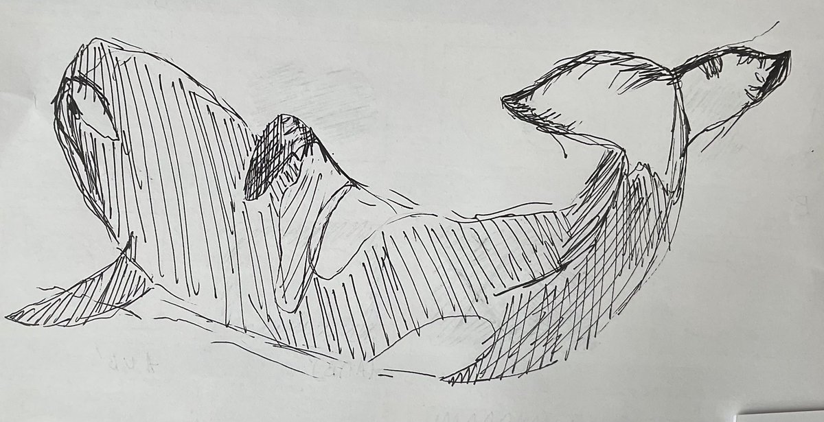 sillymika_lis2's tweet image. i also drew this during math class ain’t this tuff guys?

#math #school #art #orca