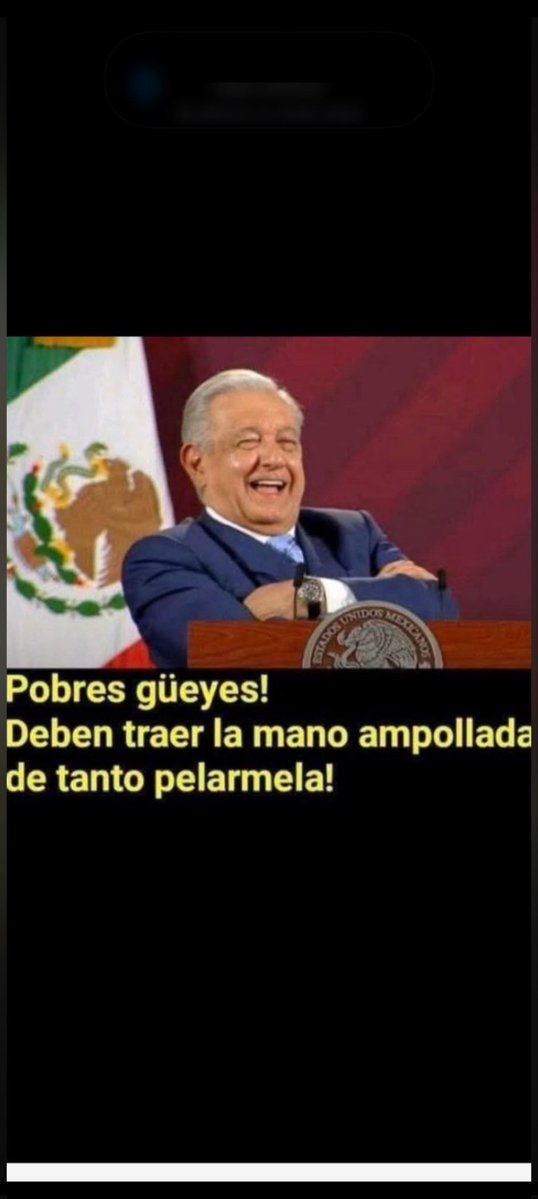 Delfin tweet media
