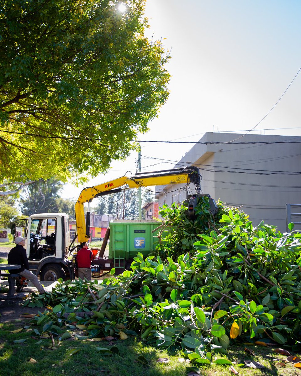 Municipalidad3F's tweet photo. 🌳💡Mejoramos #3F con cuidado y cariño. Esta vez, realizamos trabajos de poda, plantación, luminarias y pintura en #VillaRisso.

Renovamos la iluminación y emprolijamos árboles para más seguridad, reforzamos áreas verdes y dejamos como nuevos los espacios de encuentro. https://t.co/IB7Jph0bCt