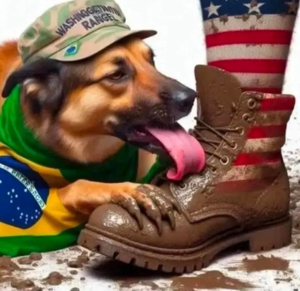 Pop Top Brasil tweet media