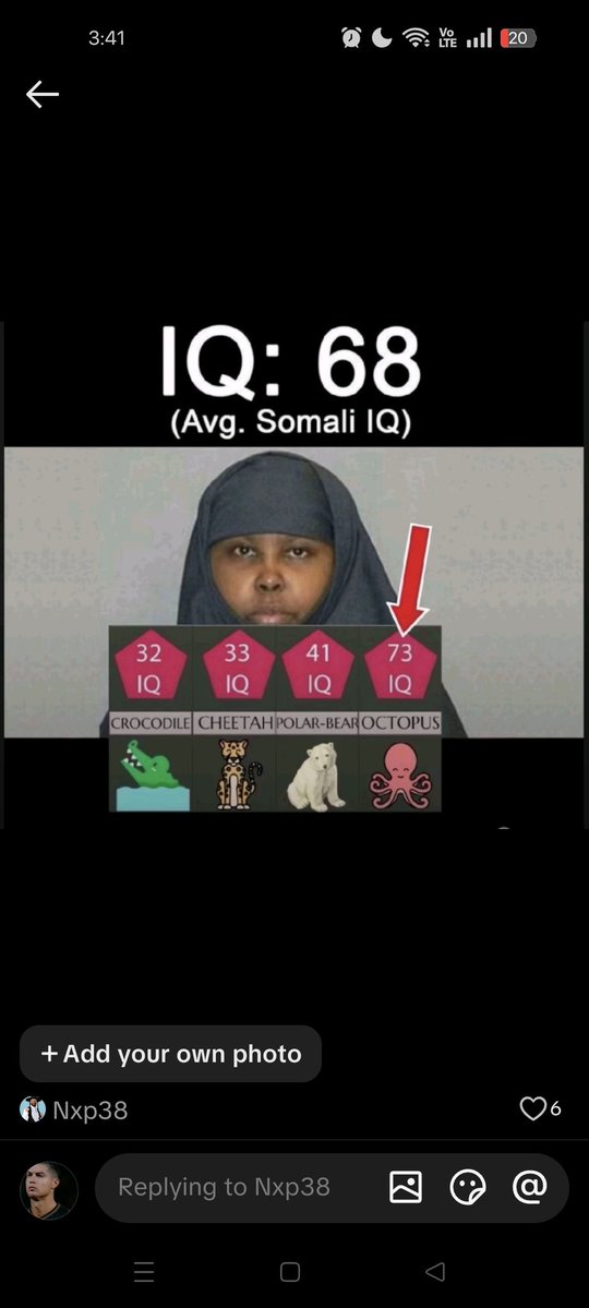 liban2 tweet media